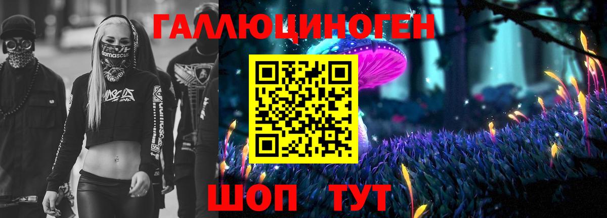 Краснокаменск  Галлюциногенные грибы Cubensis  Вход с VPN 